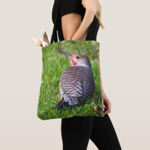 Atemberaubender Rot-Shafted Northern Flicker auf d