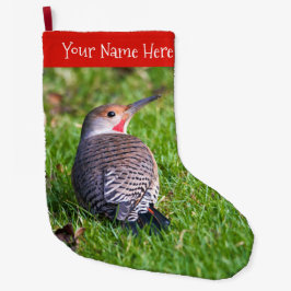 Atemberaubender Rot-Shafted Northern Flicker Woodp Großer Weihnachtsstrumpf