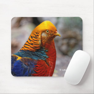 Atemberaubender roter Golden Pheasant Gamebird Mousepad