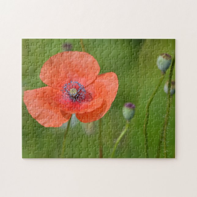Atemberaubender Roter Mohn Puzzle (Horizontal)