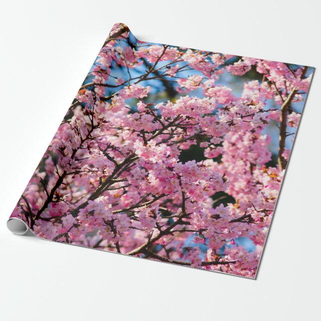 Atemberaubender Sakura-Baum in rosa Blüte Geschenkpapier (Ungerollt)