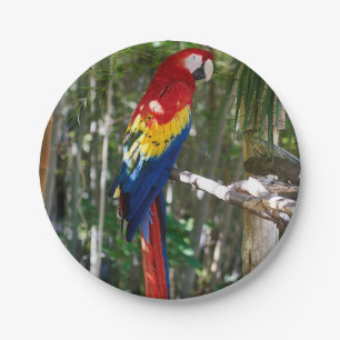 Atemberaubender Scarletmacaw-Papagei Pappteller