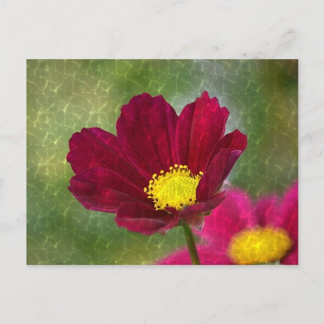Atemberaubender schimmery Cosmos Postkarte (Vorderseite)