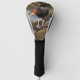 Atemberaubender Schwarzer Oystercatcher mit Clam Golf Headcover