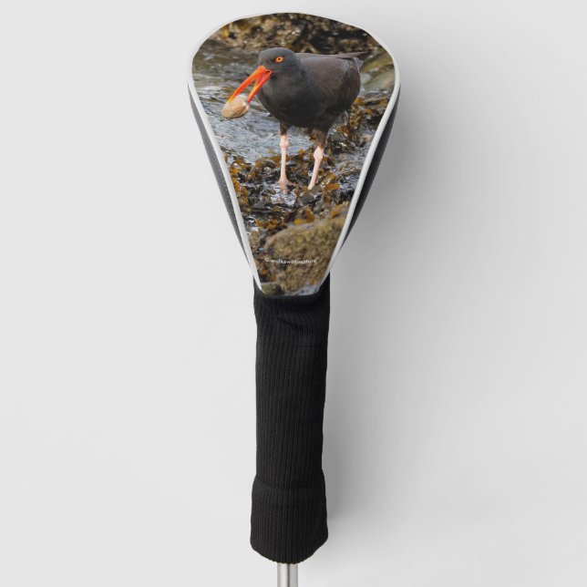 Atemberaubender Schwarzer Oystercatcher mit Clam Golf Headcover (Vorderseite)