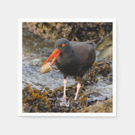 Atemberaubender Schwarzer Oystercatcher mit Clam Serviette