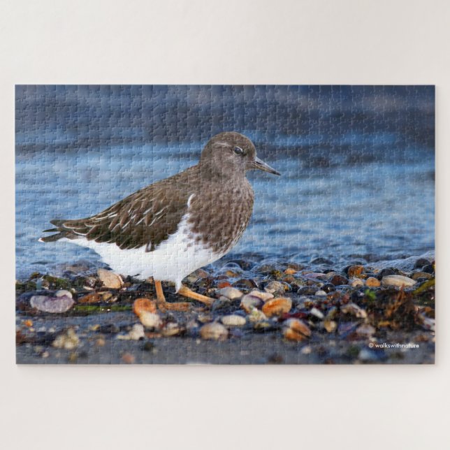 Atemberaubender schwarzer Turnstone am Strand Puzzle (Horizontal)