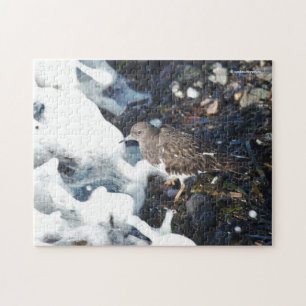 Atemberaubender Schwarzer Turnstone-Shorebird im S Puzzle