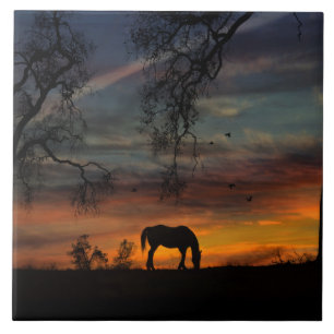 Atemberaubender Südwesten von Rom Fliese