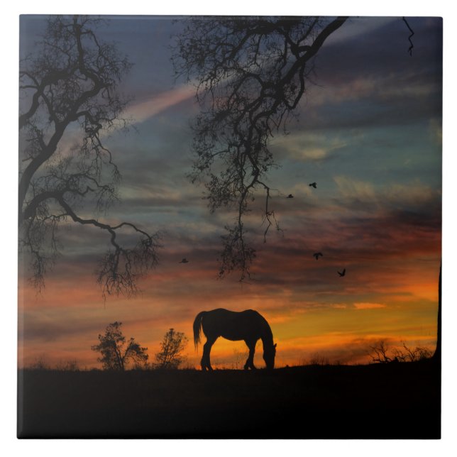 Atemberaubender Südwesten von Rom Fliese (Vorderseite)