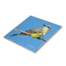 Atemberaubender Tropenvogel auf BlackBerry