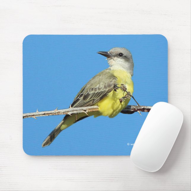Atemberaubender Tropenvogel auf BlackBerry Mousepad (Mit Mouse)