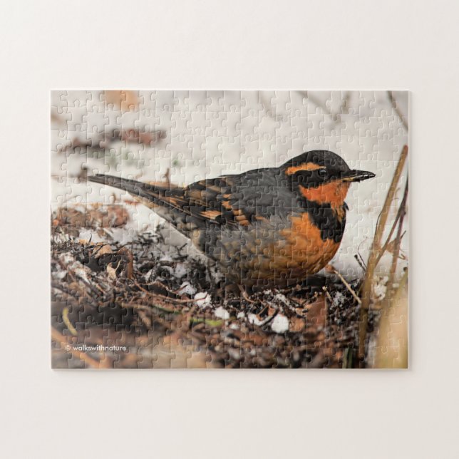 Atemberaubender Varietätsongvogel im Schnee Puzzle (Horizontal)