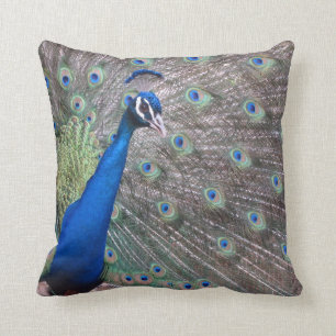 Atemberaubender Vintager Pfau Kissen