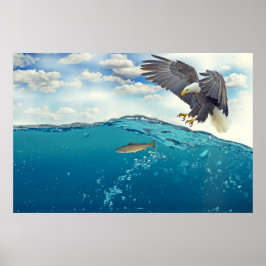 Atemberaubender Weißschwanzadler Poster