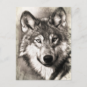 Atemberaubender Wolf Gesicht Foto Druckzubehör the Postkarte