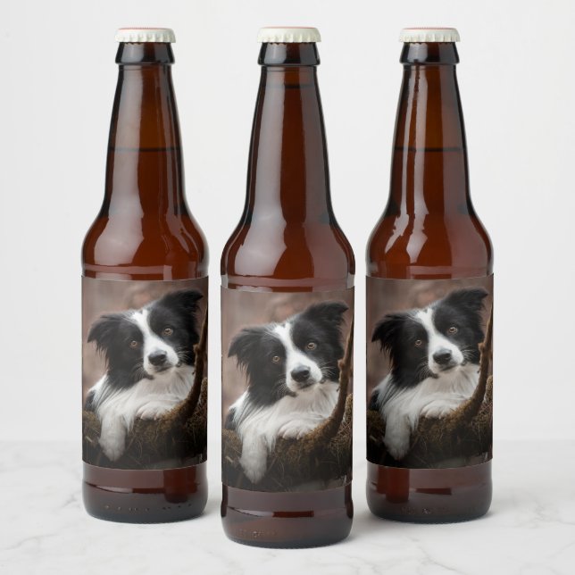 Atemberaubendes Border Collie Portrait Bierflaschenetikett (Flaschen)