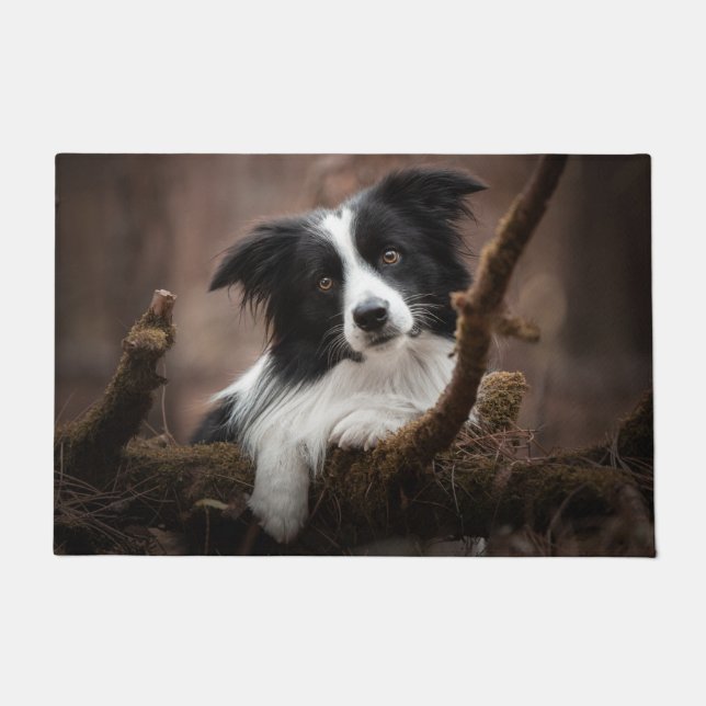 Atemberaubendes Border Collie Portrait Fußmatte (Vorderseite)