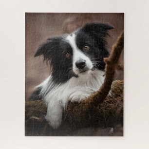 Atemberaubendes Border Collie Portrait Puzzle