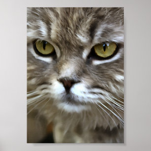 Atemberaubendes graues Katzen künstlerisches Portr Poster