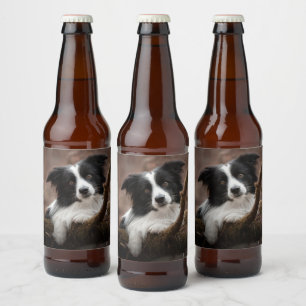 Atemberaubendes Grenzbild Bierflaschenetikett