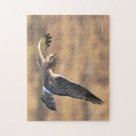 Atemberaubendes Nordharrier auf der Jagd im Sumpf Puzzle
