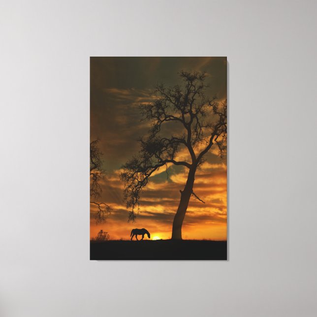Atemberaubendes Pferd Leinwand Kunst, Dichtung und (Vorderseite)