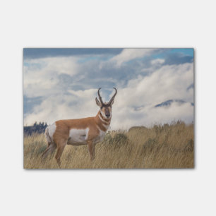 Atemberaubendes Pronghorn Post-it Klebezettel