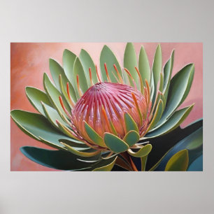 Atemberaubendes Protea Gemälde Lebhafte Blüte Poster