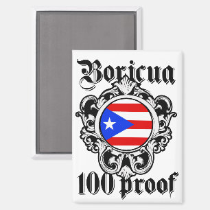 Atemberaubendes Puerto Rico Boricua Taino Vintages Magnet