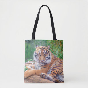 Atemberaubendes Rekrutieren von Tigerfotografie