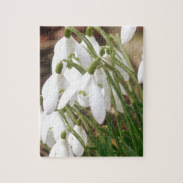 Atemberaubendes Snowdrops Puzzle (Vertikal)