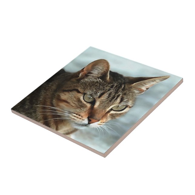 Atemberaubendes Tabby Cat Close Up Kunstportrait Fliese (Seite)