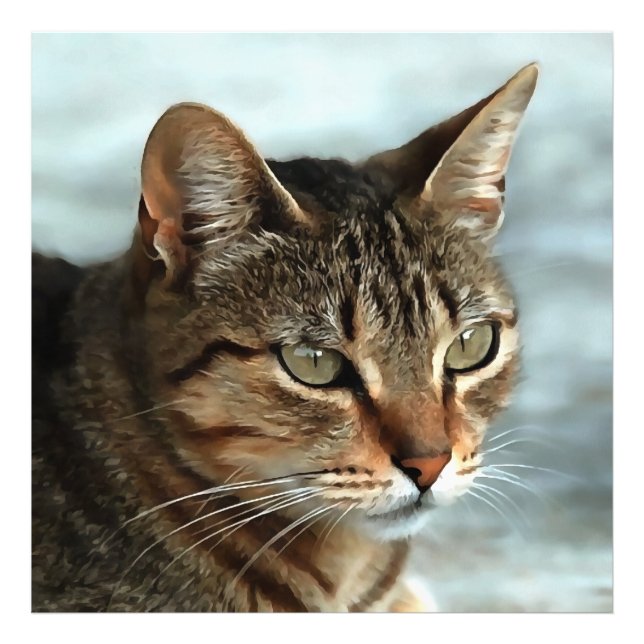 Atemberaubendes Tabby Cat Close Up Kunstportrait Fotodruck (Vorne)