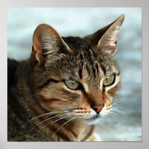 Atemberaubendes Tabby Cat Close Up Kunstportrait Poster