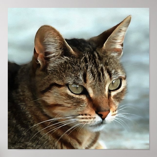 Atemberaubendes Tabby Cat Close Up Kunstportrait Poster (Vorne)