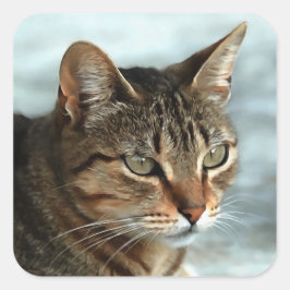 Atemberaubendes Tabby Cat Close Up Kunstportrait Quadratischer Aufkleber