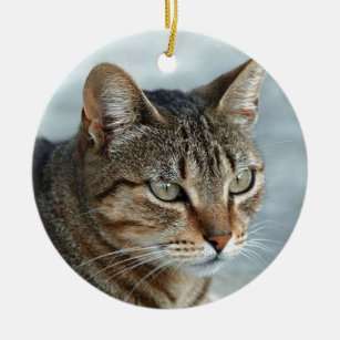 Atemberaubendes Tabby Cat Nah Up Portrait Keramik Ornament