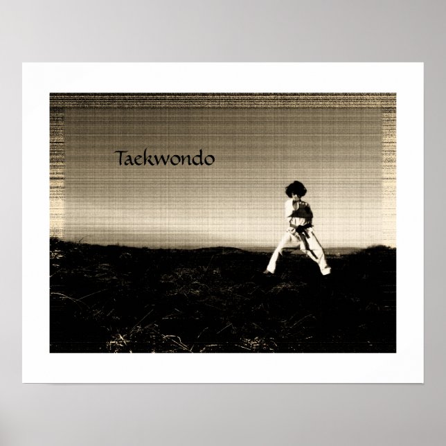 Atemberaubendes Taekwondo-Poster Poster (Vorne)