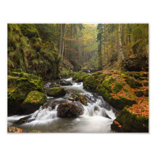 Atemberaubendes Tal des Fluss Doubrava Fotodruck