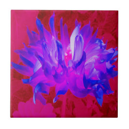 Atemberaubendes Violet Blau und Hot Pink Kaktus Da Fliese