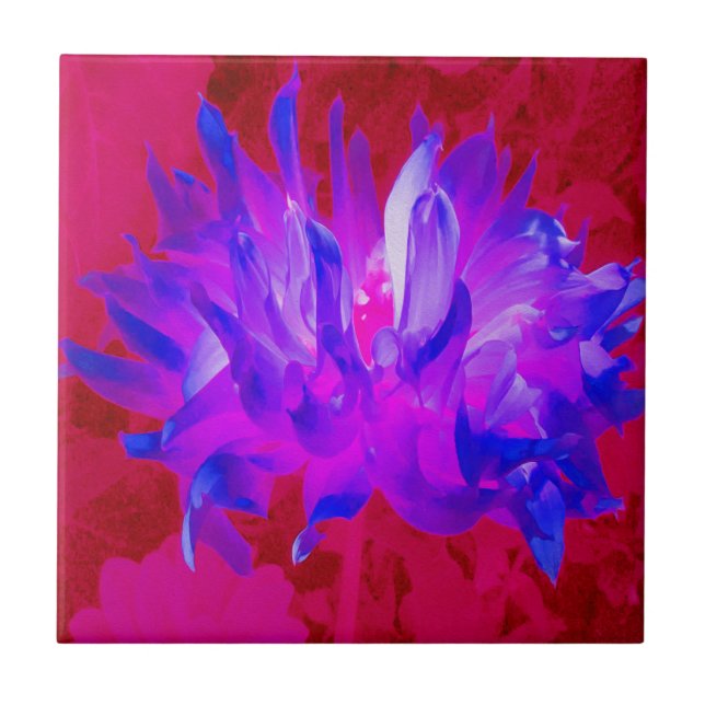 Atemberaubendes Violet Blau und Hot Pink Kaktus Da Fliese (Vorderseite)