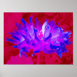 Atemberaubendes Violet Blau und Hot Pink Kaktus Da Poster