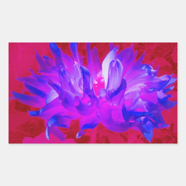 Atemberaubendes Violet Blau und Hot Pink Kaktus Da Rechteckiger Aufkleber (Vorderseite)