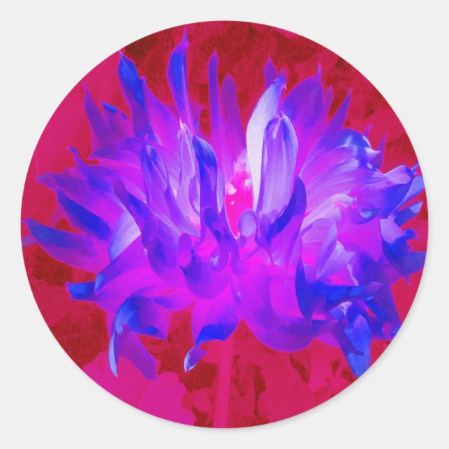 Atemberaubendes Violet Blau und Hot Pink Kaktus Da Runder Aufkleber (Vorderseite)