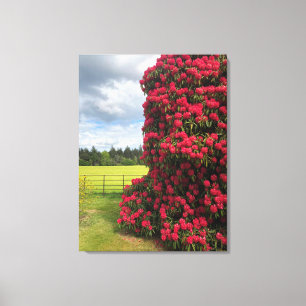 Atemberbender Rhododendron und Panoramablick in Sc Leinwanddruck