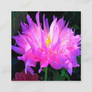 Atembermende rosa und violette Kaktus-Dahlie Quadratische Visitenkarte