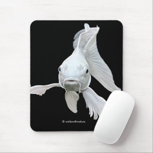 Atembernde Platin-Schmetterlings-Koi-Karpfen Mousepad