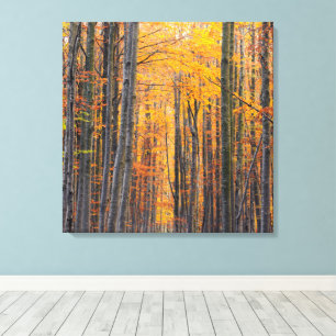 Atembernder goldener Herbstwald Leinwanddruck