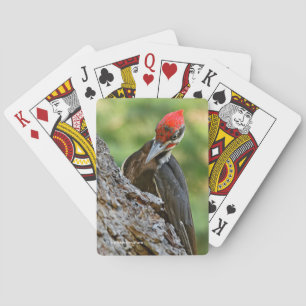 Atemberporträt eines Helmspechts an einem Baum Spielkarten